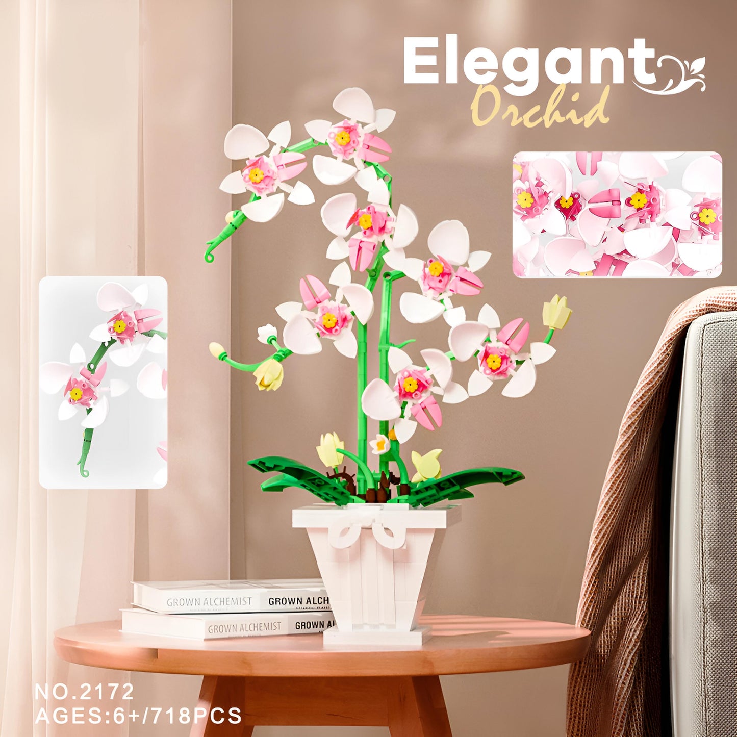 Orchidées éternelles