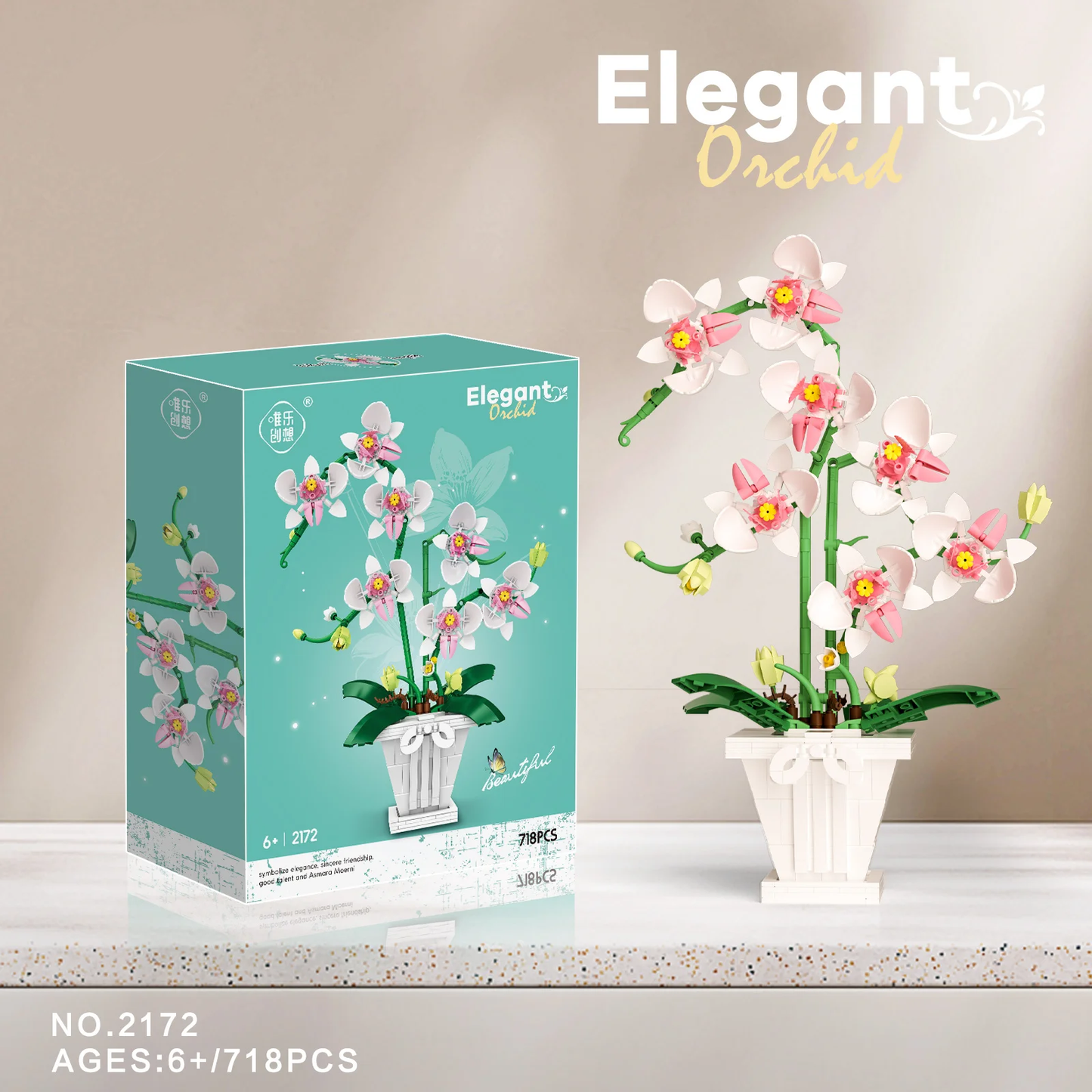 Orchidées éternelles