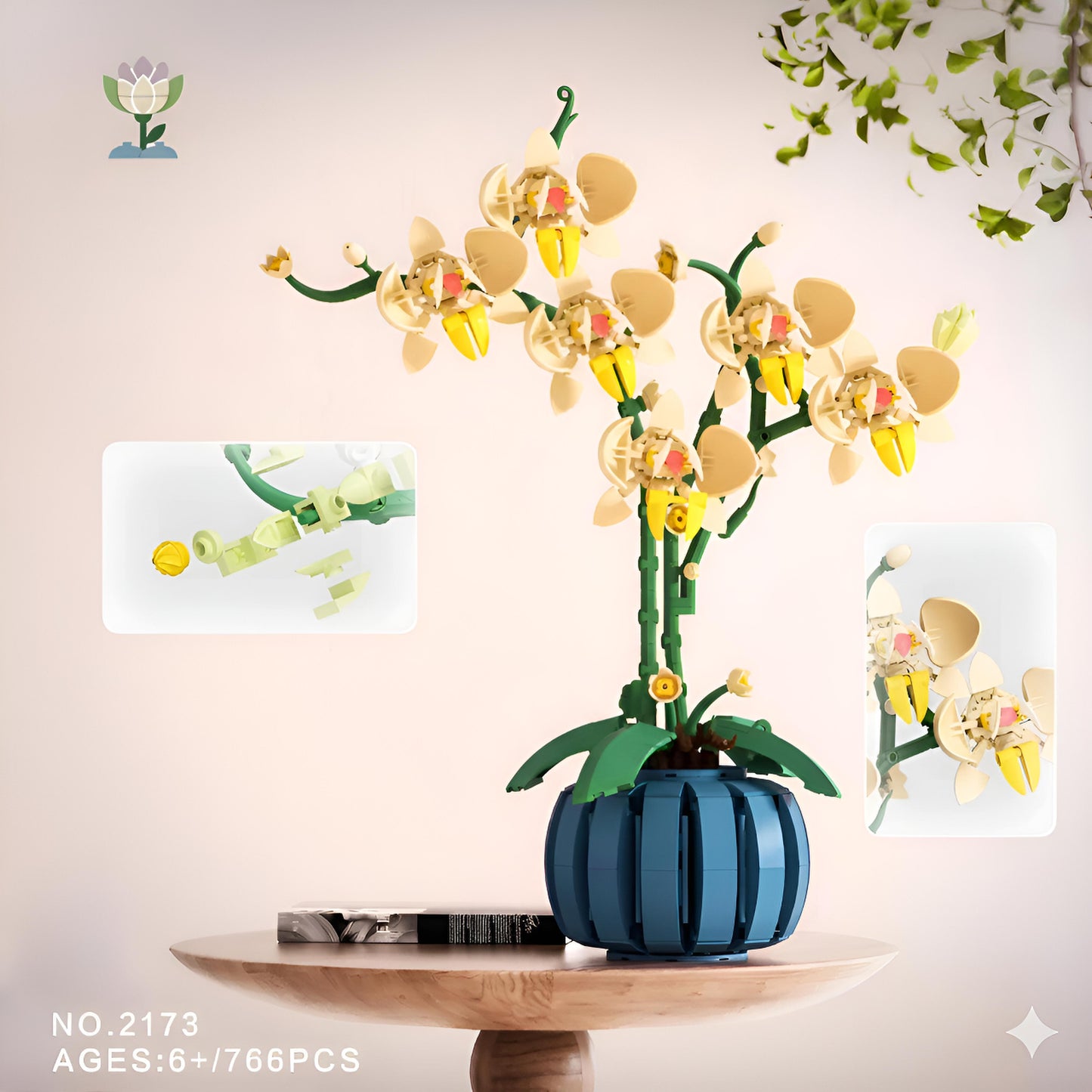 Orchidées éternelles